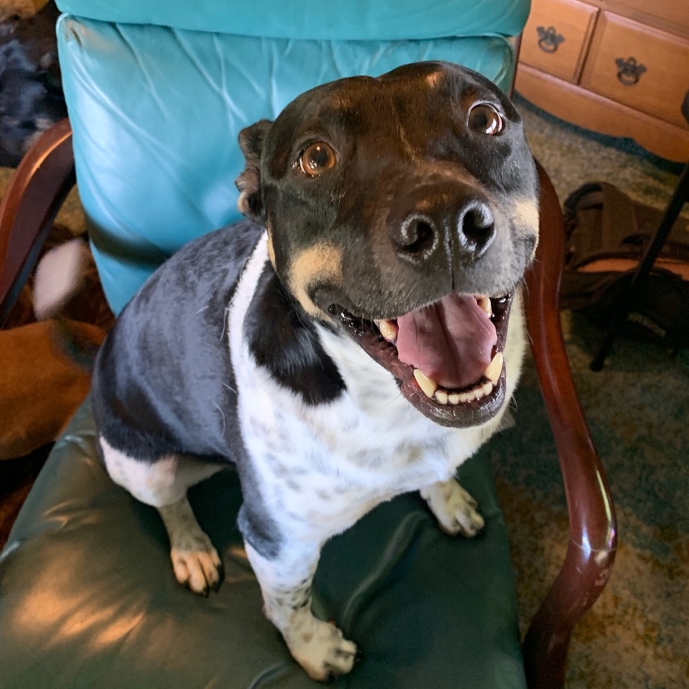 Meet your Posher, Melissa